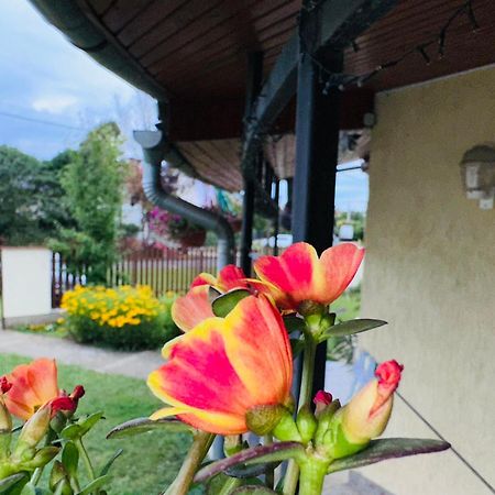 Cozy Garden Apartman Apartment Gyula Exterior photo