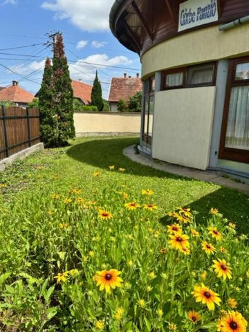 Cozy Garden Apartman Apartment Gyula Exterior photo